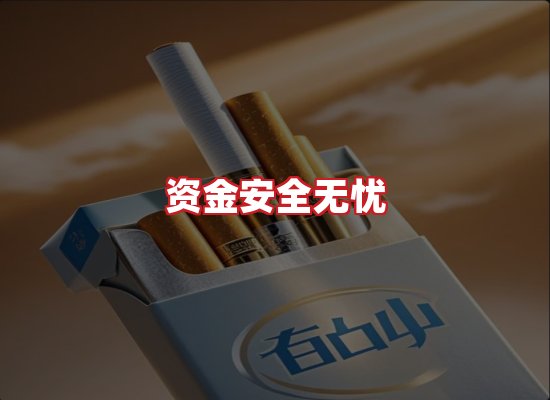 专业团队